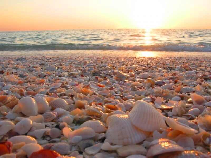 Отдых в Крыму у моря